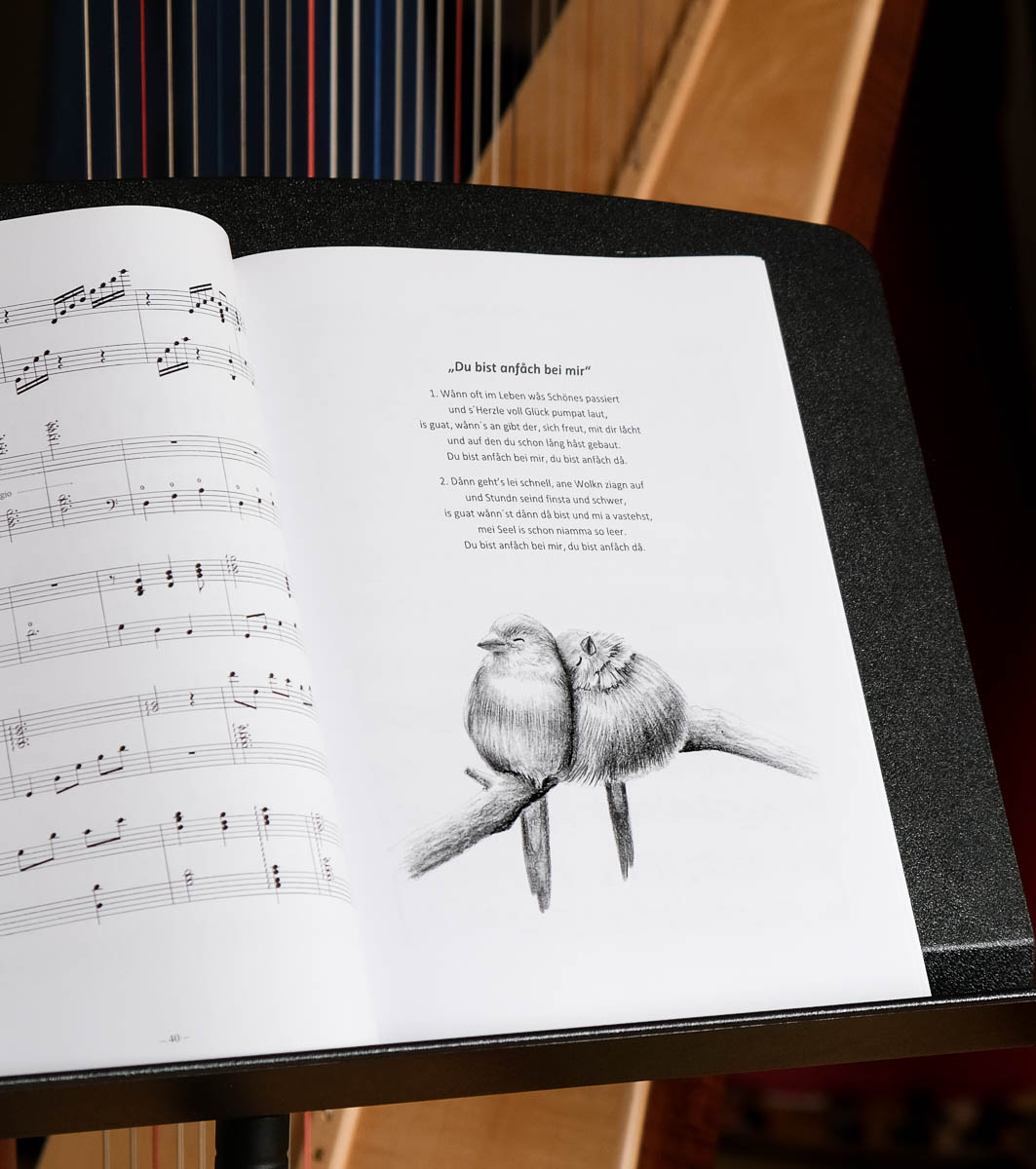 Liederheft | Illustration Vögel | Sabrina Hassler | Liederbuch Illustrationen | songbook