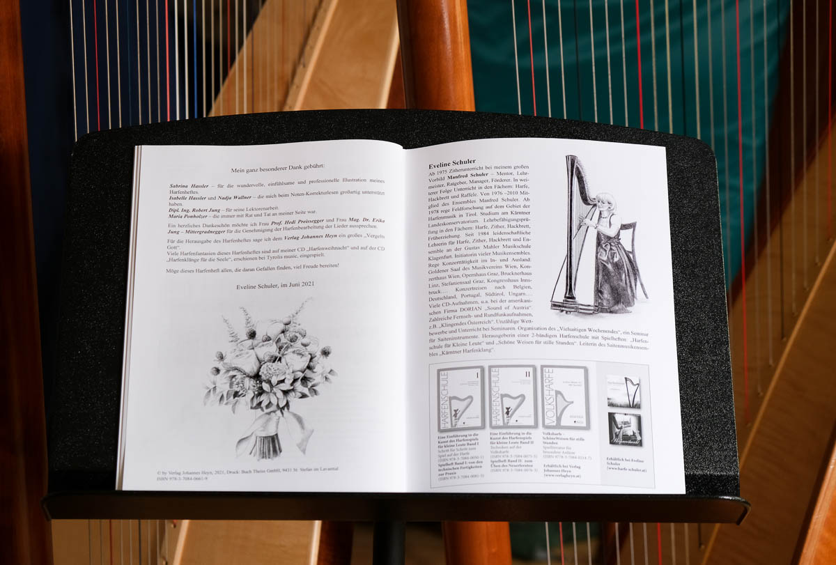 Liederheft für die Harfe | Illustration Sabrina Hassler | songbook illustrations