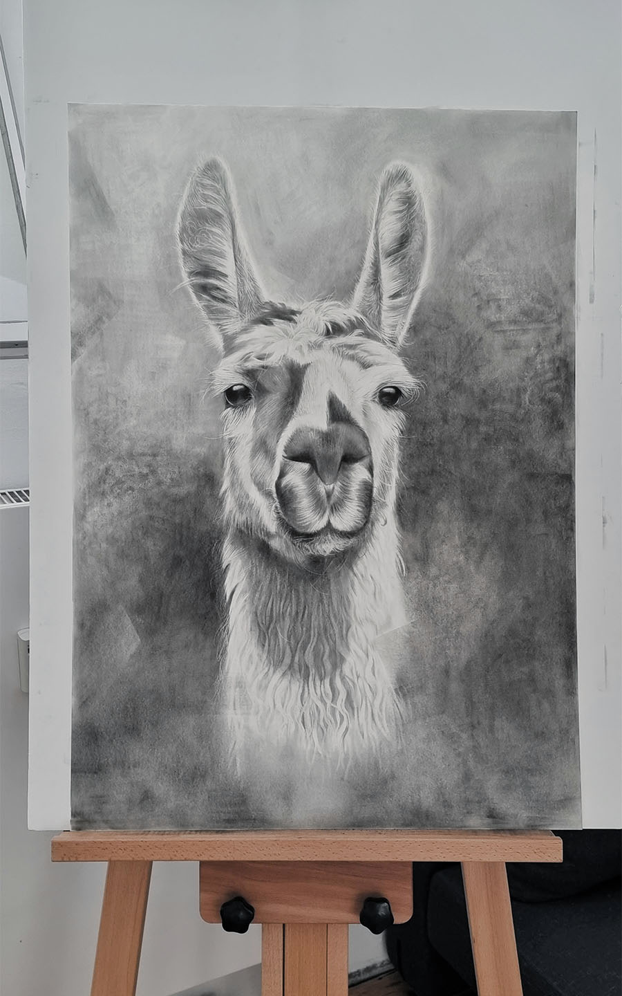 Lama Portrait auf Staffelei - Kohlezeichnung - Charcoal drawing | Sabrina Hassler | Sabrillu